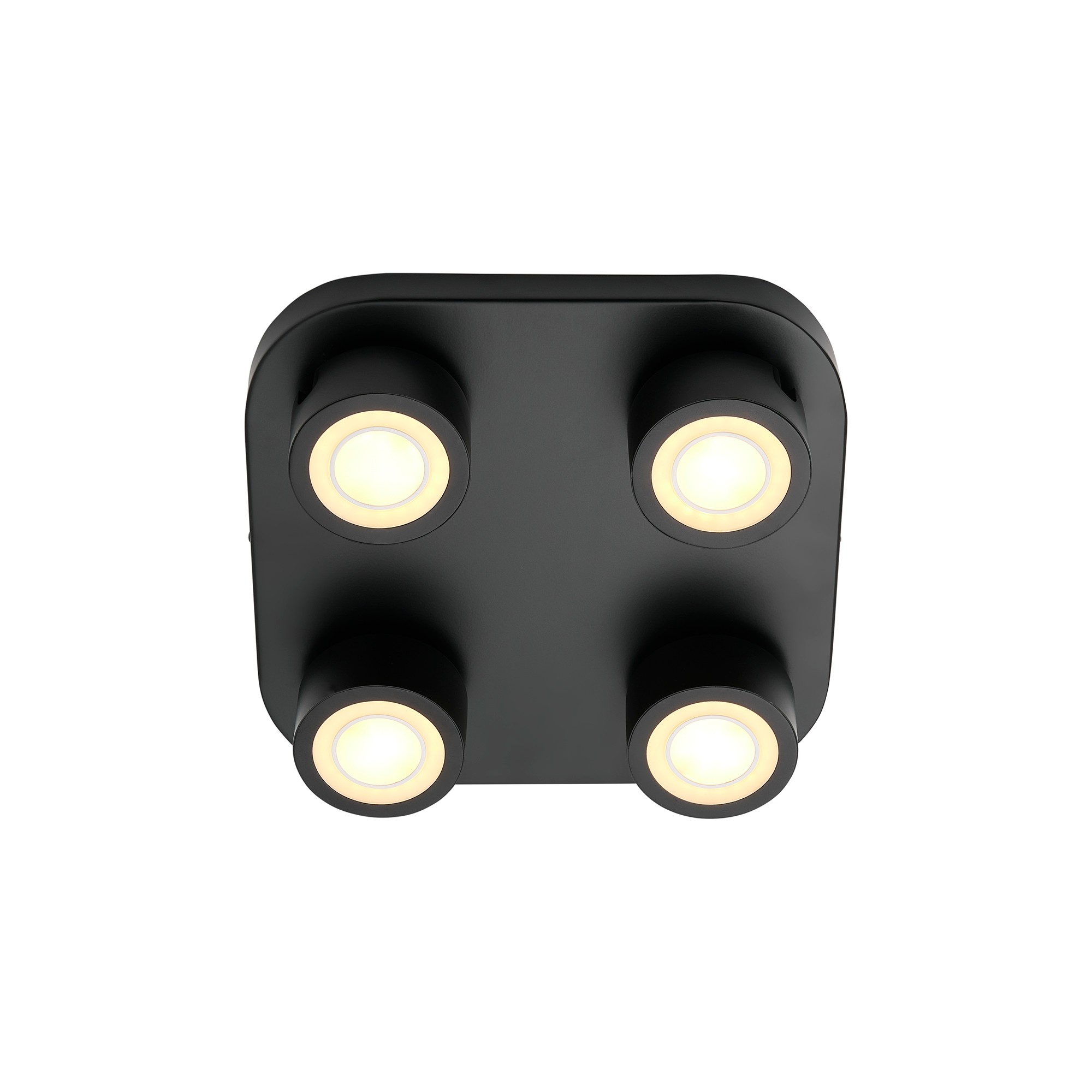 Lampa sufitowa Clyde NO2412256003 - Nordlux