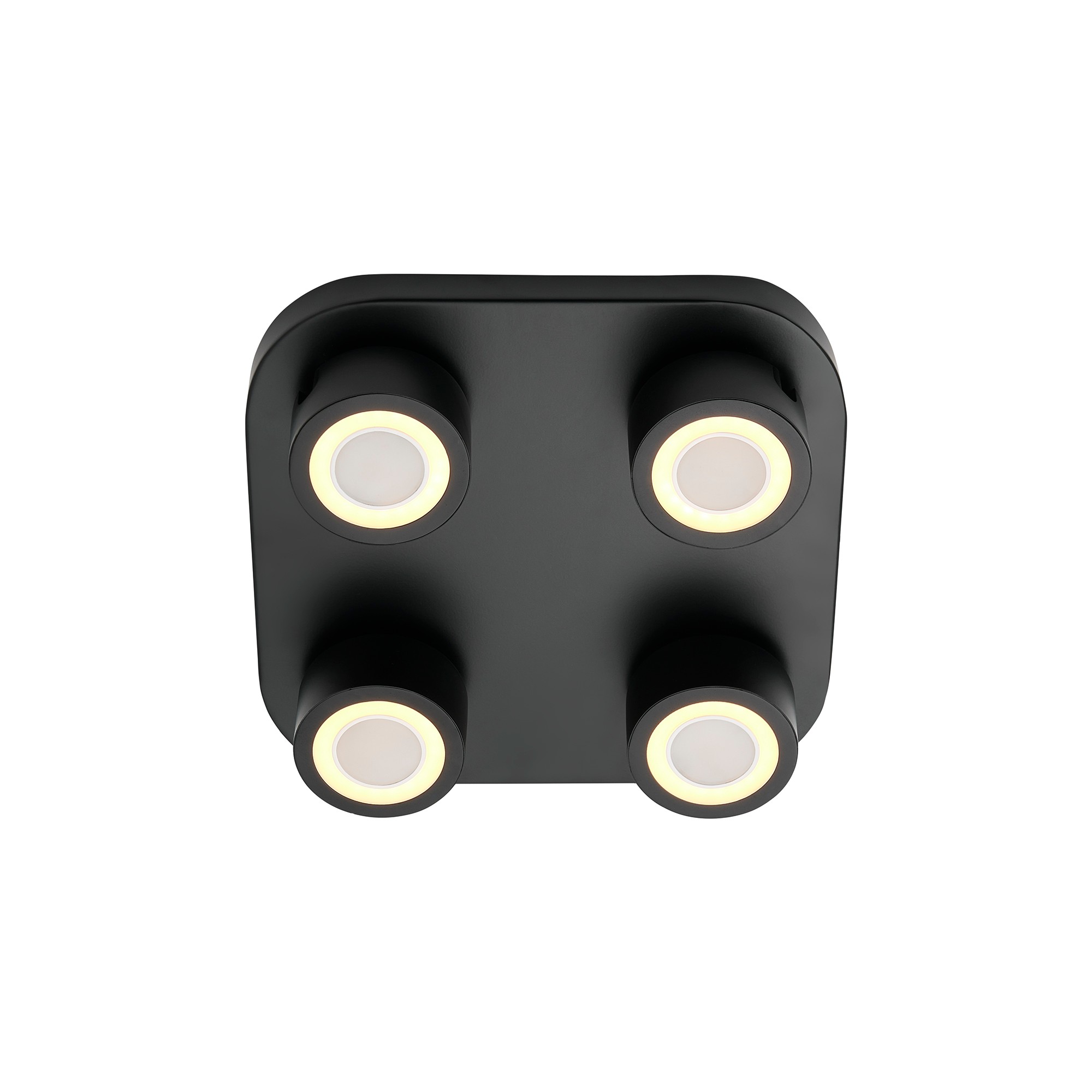 Lampa sufitowa Clyde NO2412256003 - Nordlux - obrazek 6