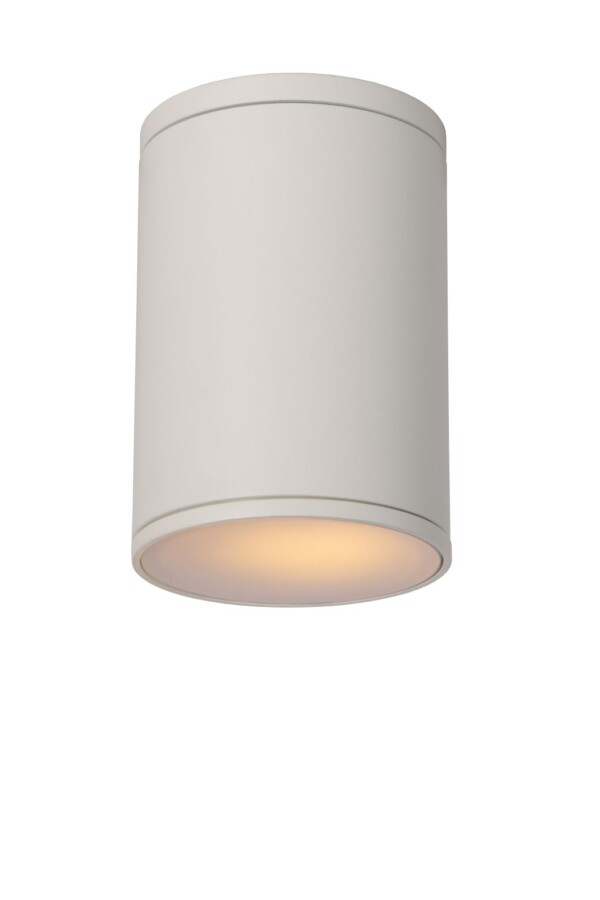 Lampa sufitowa zewnętrzna TUBIX 27870/01/31 - Lucide