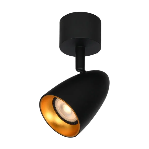 Reflektor sufitowy Tino SPL-36748-1R-BK-GD - Italux
