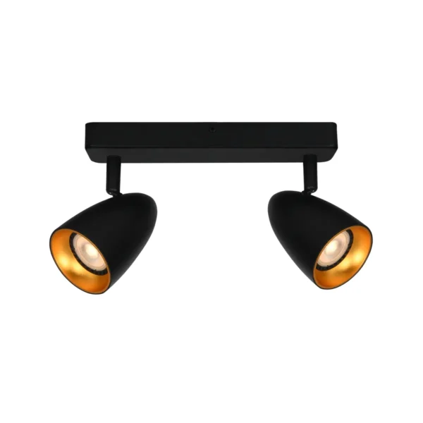 Reflektor sufitowy Tino SPL-36748-2-BK-GD - Italux