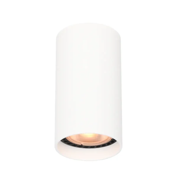 Lampa sufitowa Lopus CLN-48930-S-WH - Italux