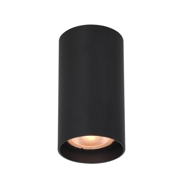 Lampa sufitowa Lopus CLN-48930-S-BK - Italux