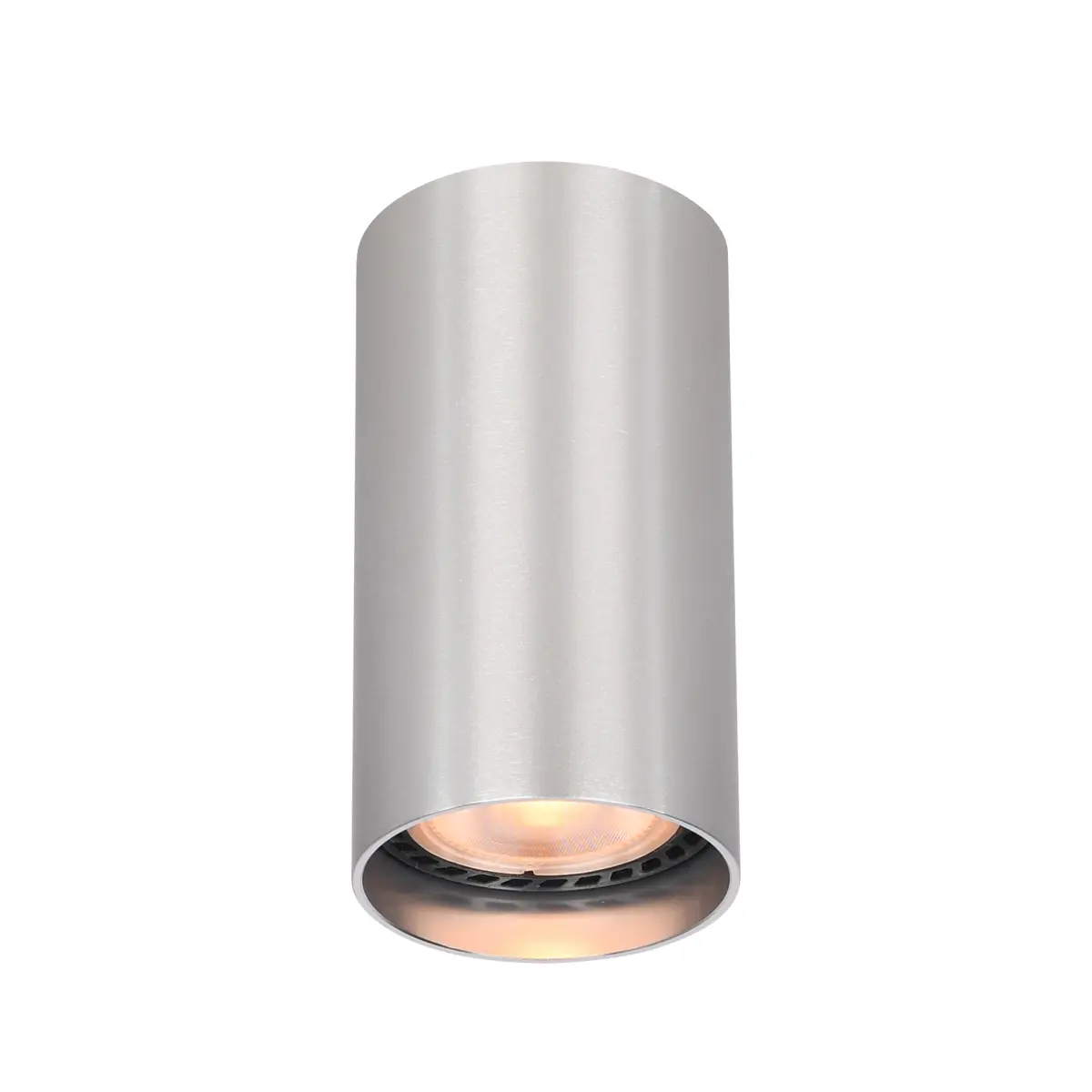 Lampa sufitowa Lopus CLN-48930-S-ALU - Italux