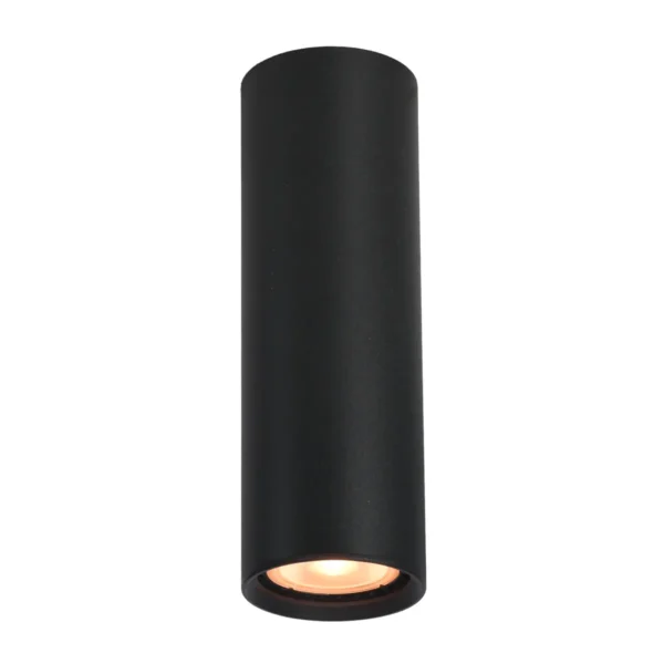 Lampa sufitowa Lopus CLN-48930-M-BK - Italux