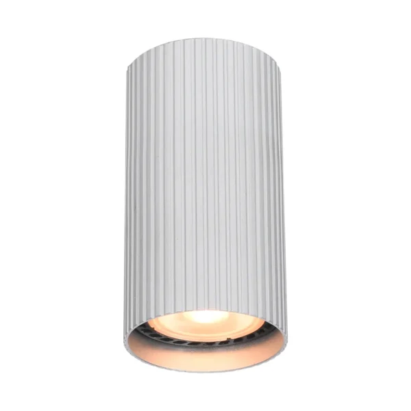 Lampa sufitowa Rilok CLN-83920-S-ALU - Italux