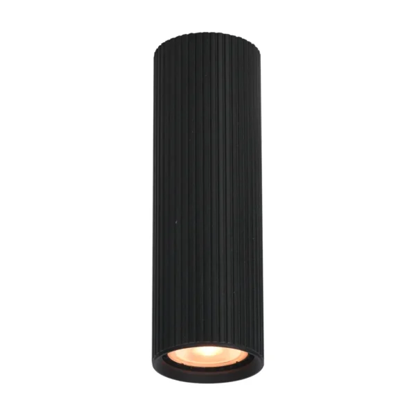 Lampa sufitowa Rilok CLN-83920-M-BK - Italux