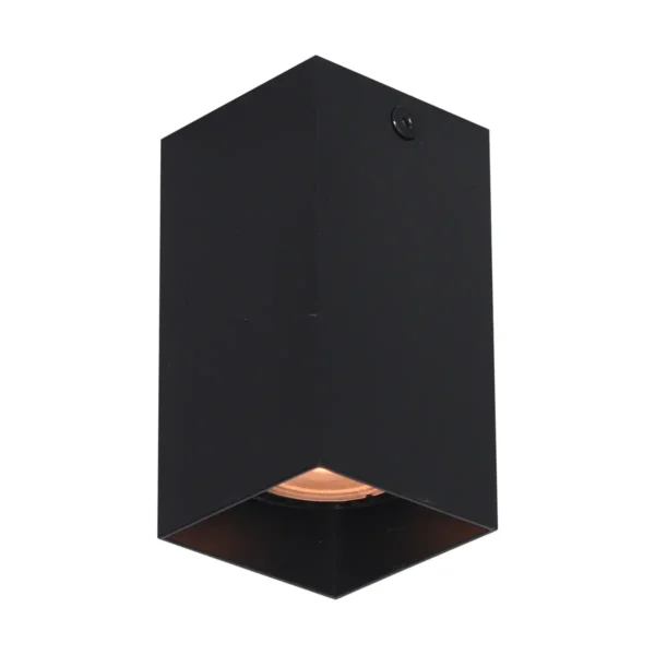 Lampa sufitowa Ander CLN-28394-S-BK - Italux