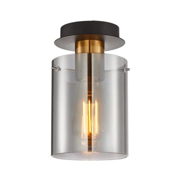 Reflektor sufitowy Sardo SPL-5581-1SC-BRO-SG - Italux