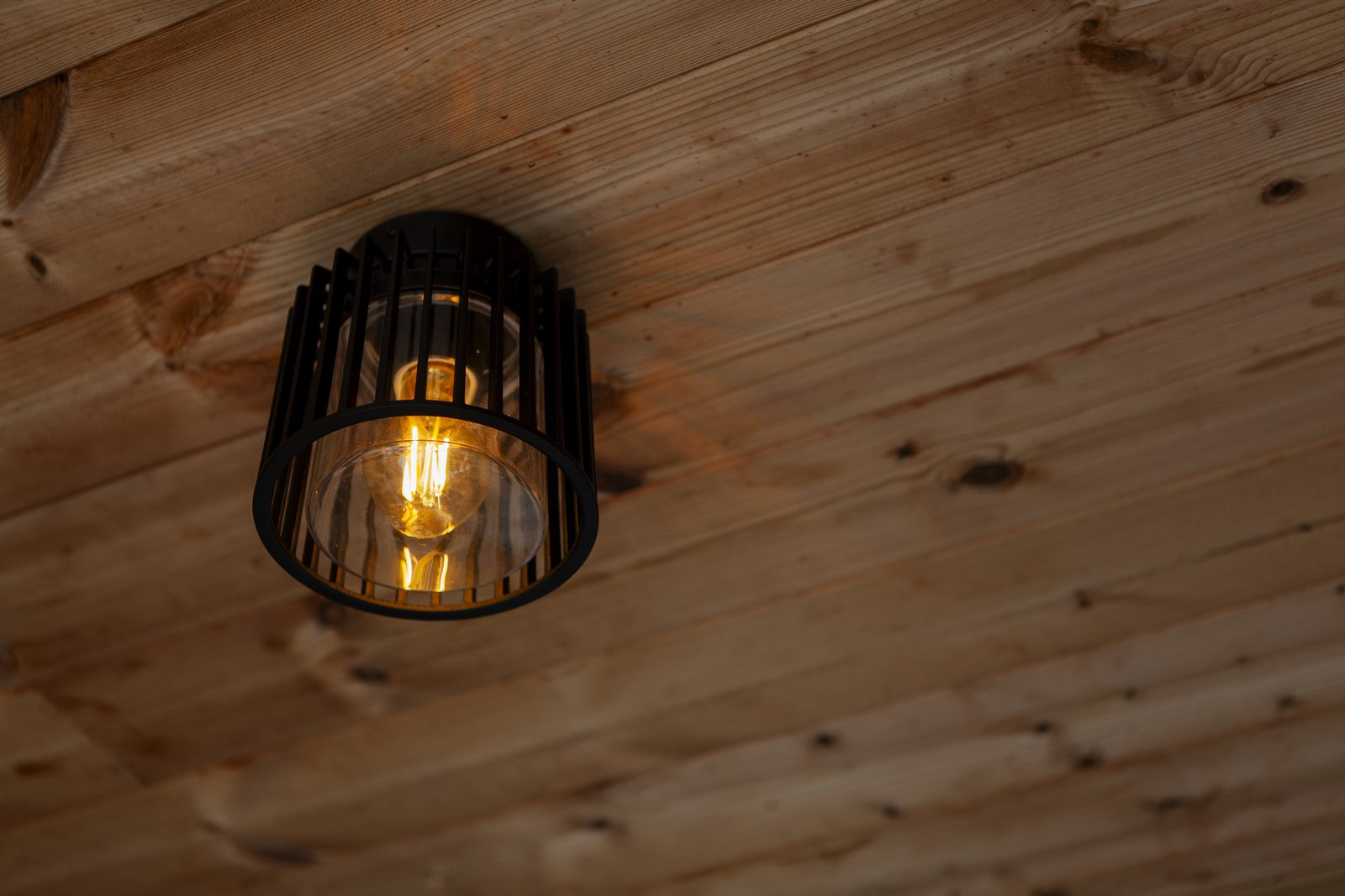 Lampa sufitowa SHYNE 6397501012 - Lutec - obrazek 4