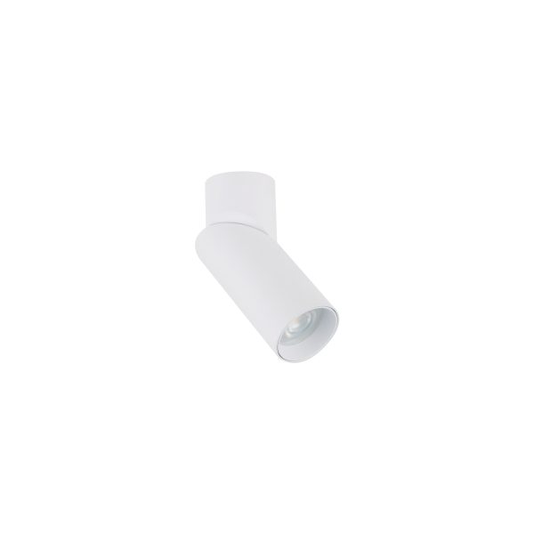Lampa sufitowa INDIA 7858 - Nowodvorski Lighting