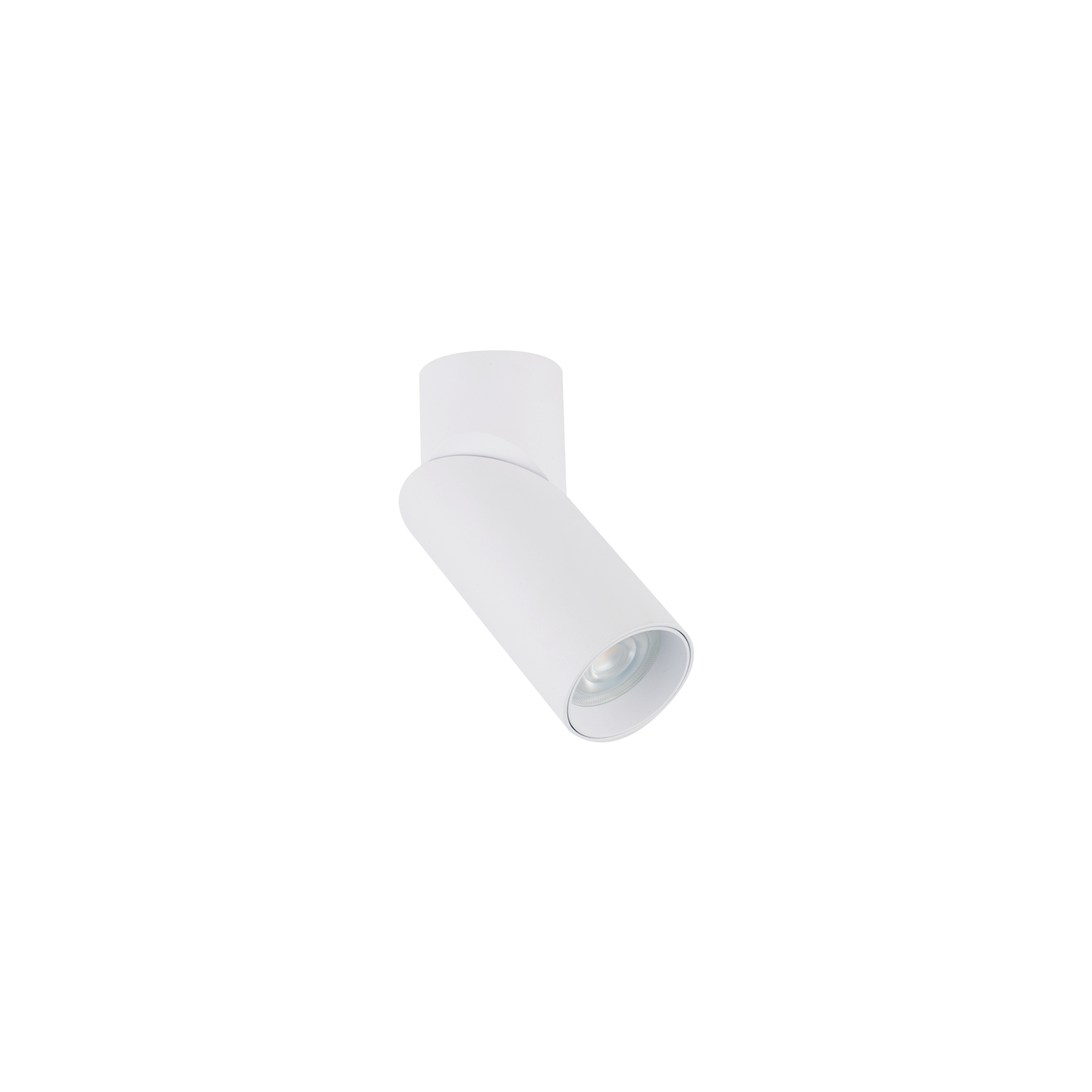 Lampa sufitowa INDIA 7858 - Nowodvorski Lighting