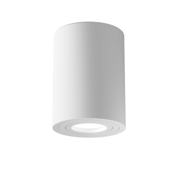 Lampa sufitowa TUBA ALFA C016CL-01W - Maytoni