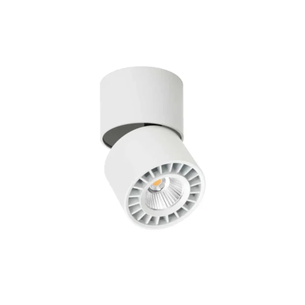 Oprawa sufitowa Herios CLN-97018-12W-L-3K - Italux