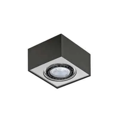 Oprawa sufitowa LAUREN FH30531S - Italux
