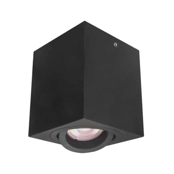 Oprawa sufitowa Emilio IT8004S1-BK -Italux