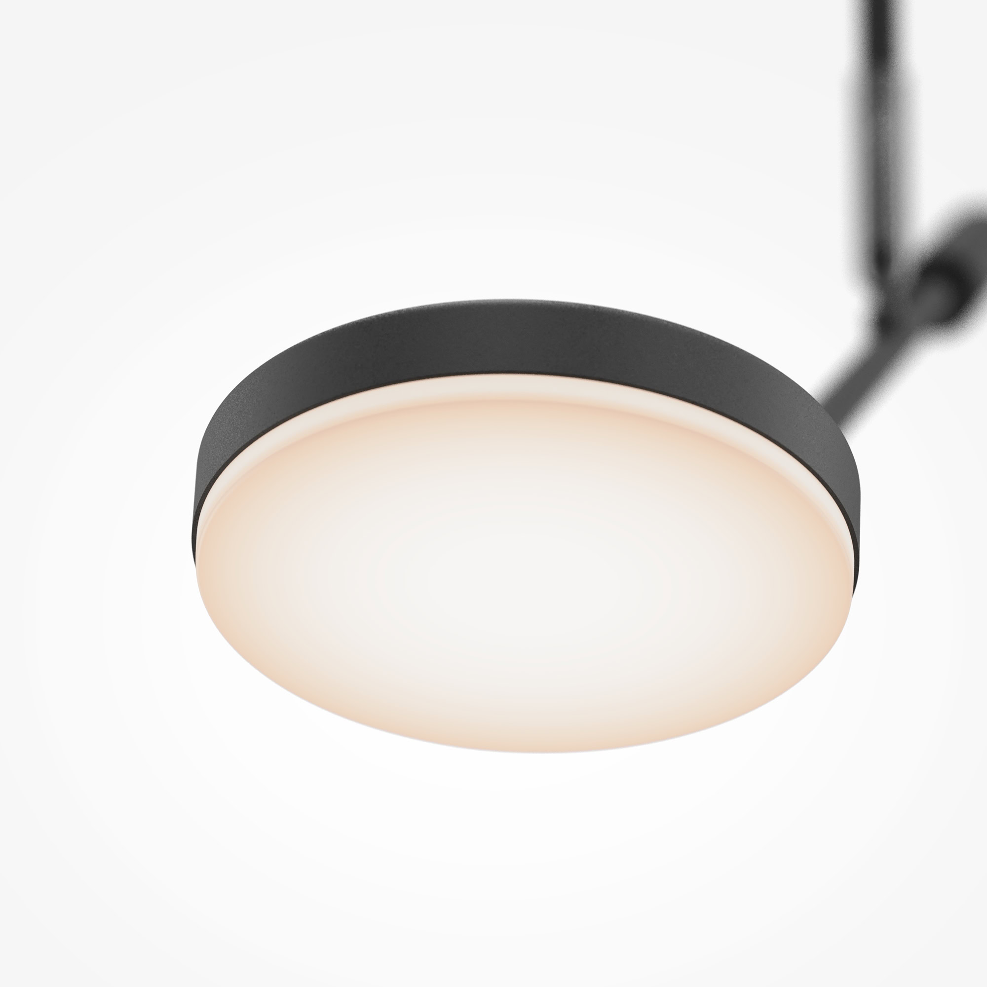 Lampa sufitowa Fad MOD070CL-L8B3K - Maytoni - obrazek 2
