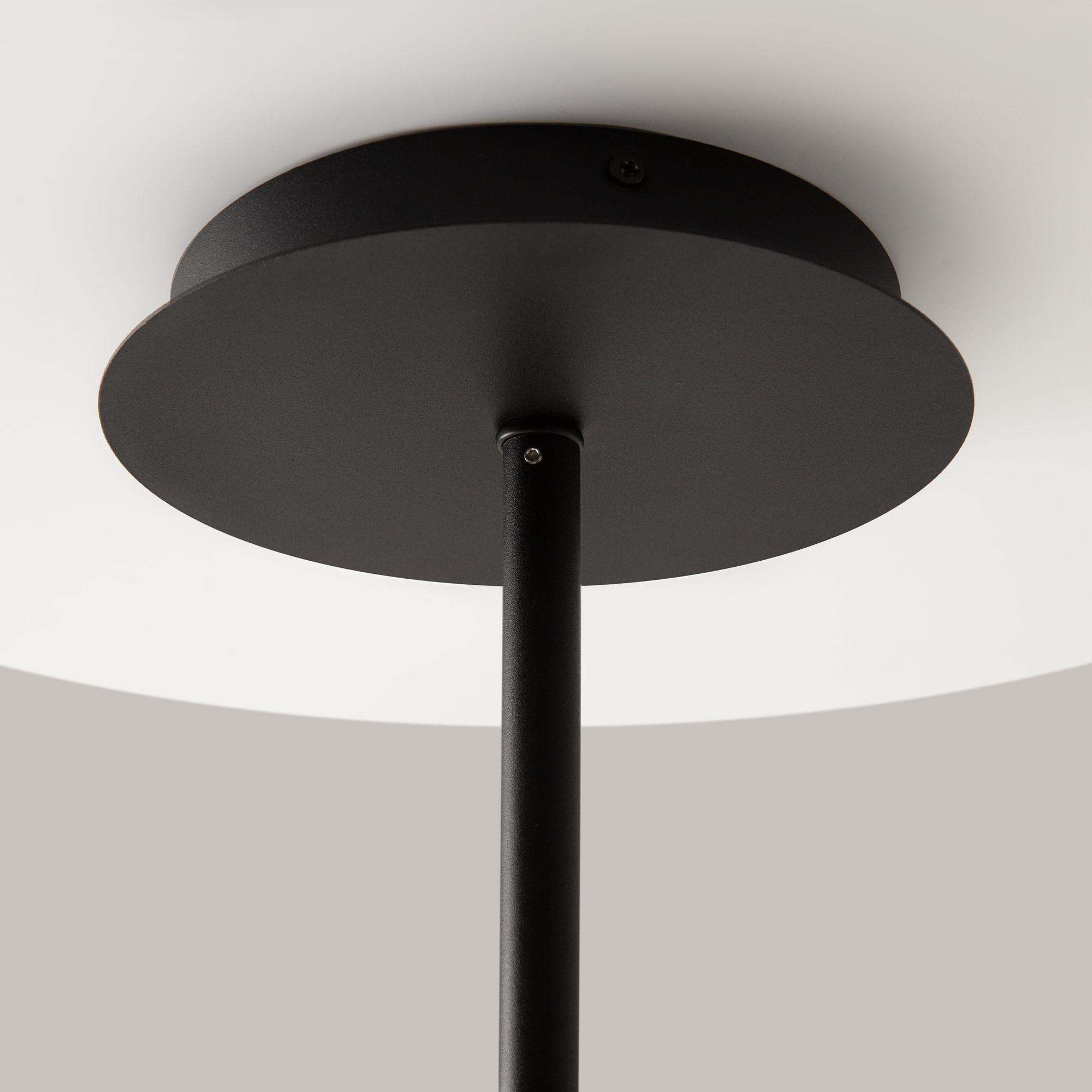 Lampa wisząca nowoczesna MOLLIS MOD126PL-08B - Maytoni - obrazek 6