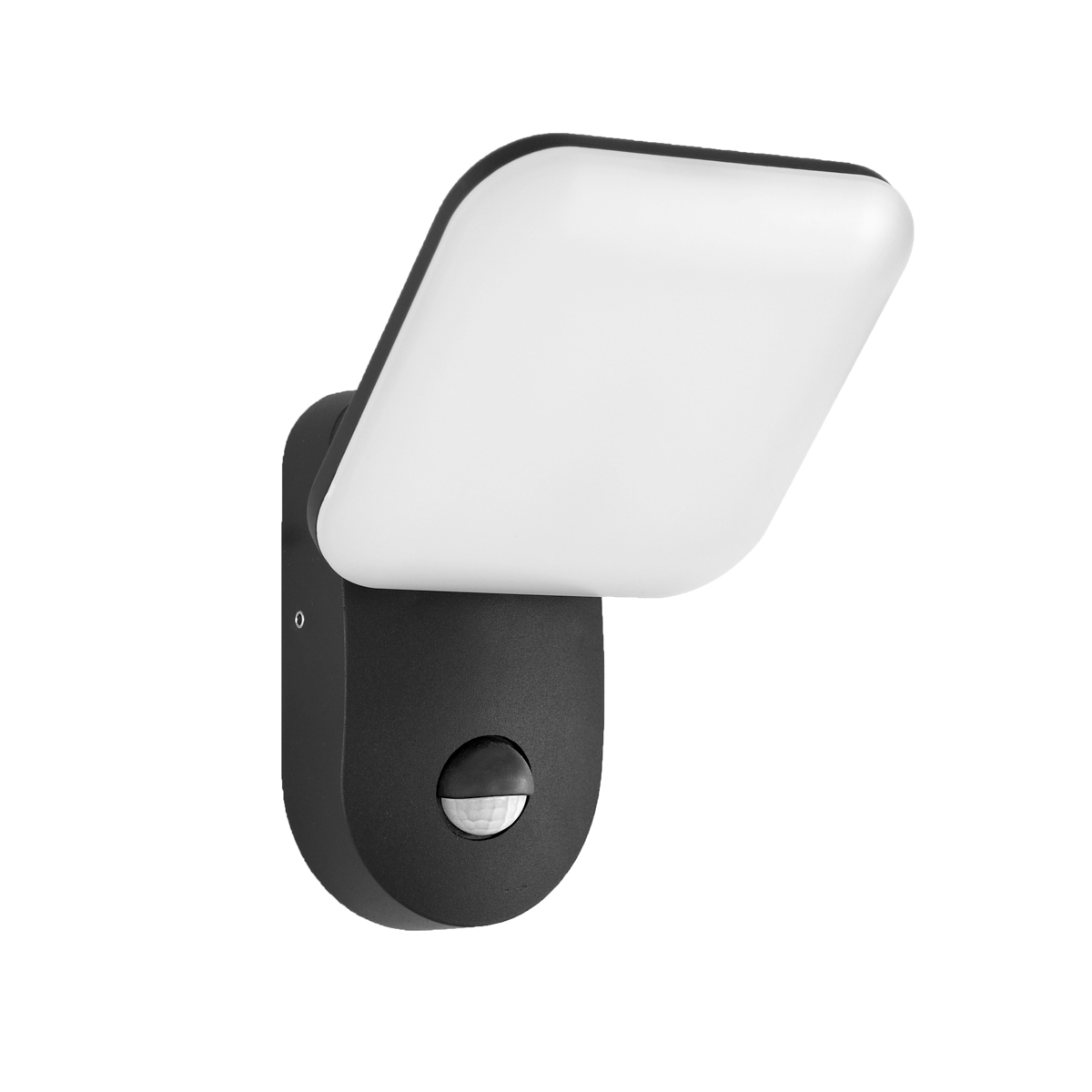 Kinkiet zewnętrzny Nammi 3K OWL-6206-S-3K - Italux