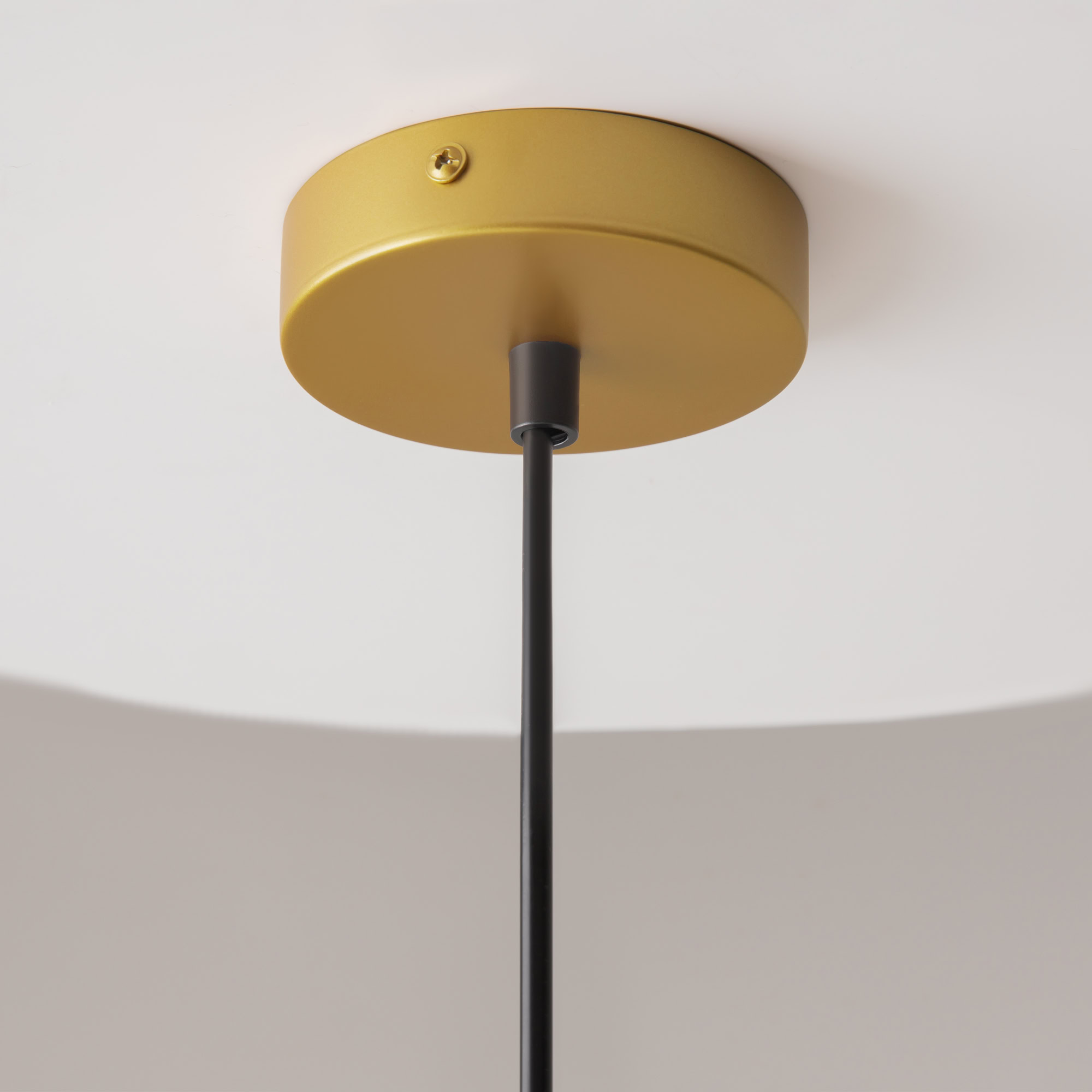 Lampa loft wisząca TELFORD P362PL-01G – Maytoni - obrazek 5