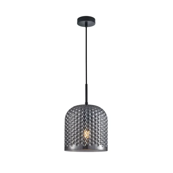 Lampa wisząca Renti PND-25205-1L-BK-SG - Italux