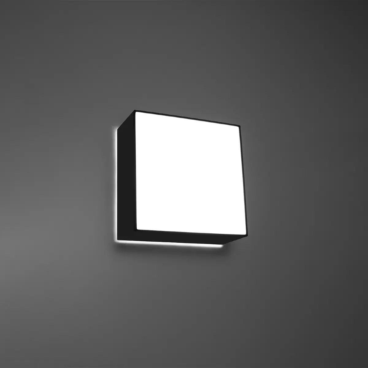 Plafon HORUS 25 czarny SL.0142 - Sollux Lighting - obrazek 7