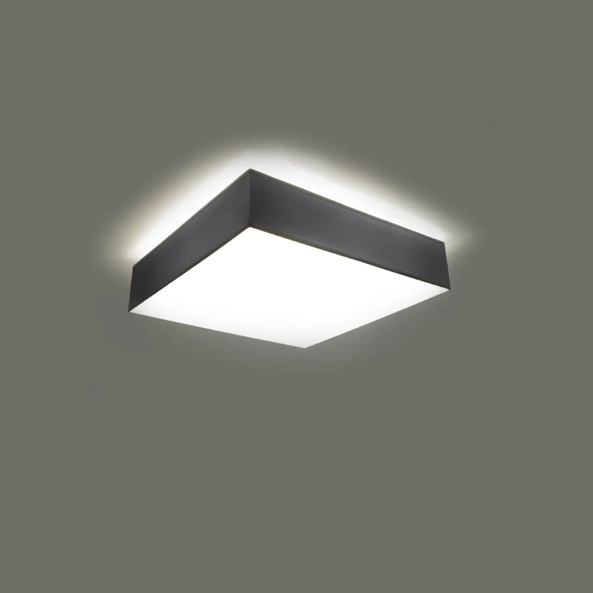 Plafon HORUS 25 szary SL.0143 - Sollux Lighting - obrazek 4
