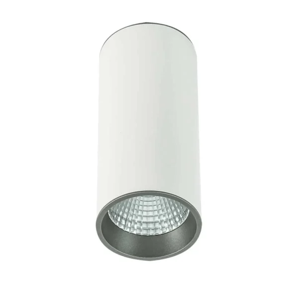 Oprawa sufitowa MOLDES BIG WH/GR CEILING SLC7392/12W 4000K WH+GR - Italux
