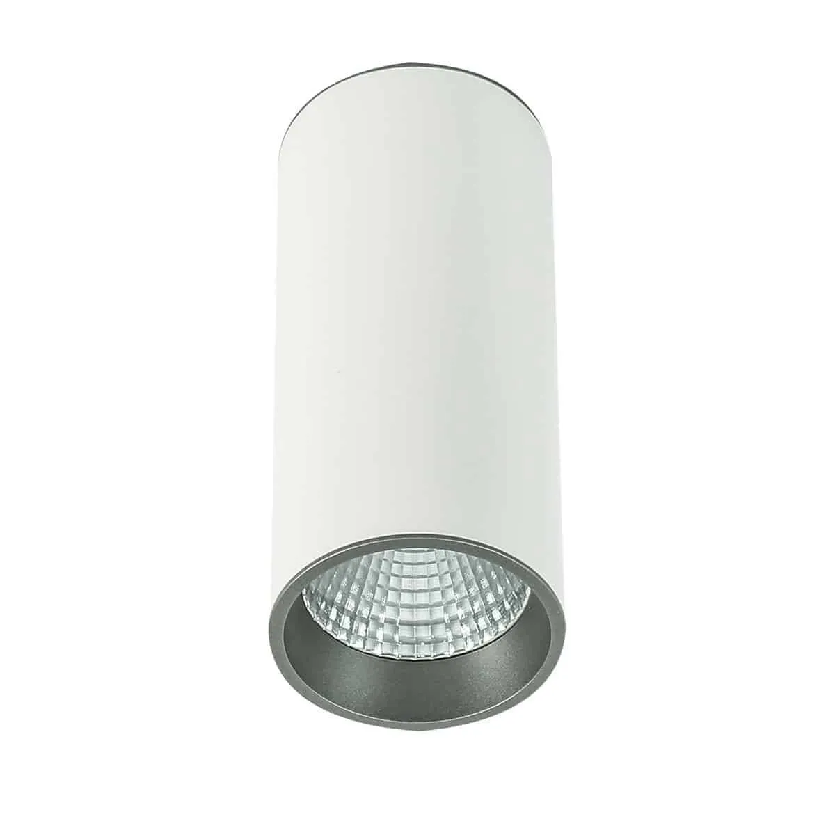 Oprawa sufitowa MOLDES BIG WH/GR CEILING SLC7392/12W 4000K WH+GR - Italux