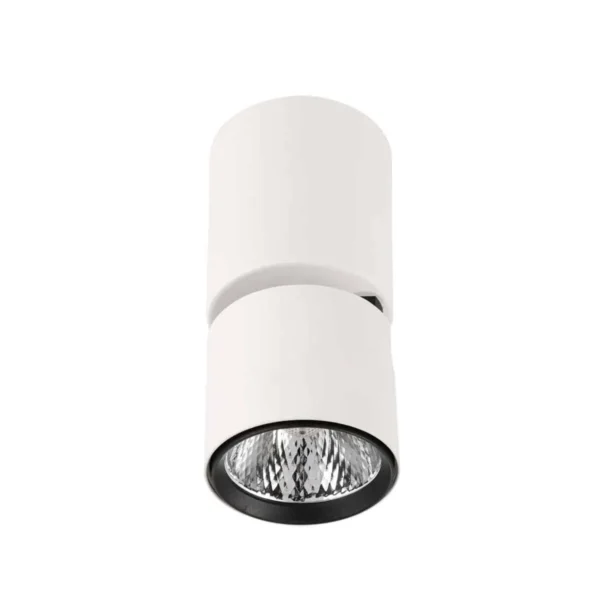 Lampa sufitowa Boniva SPL-2854-1-SC-WH biała – Italux
