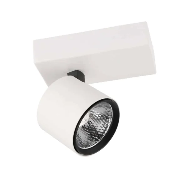 Lampa sufitowa Boniva SPL-2854-1B-WH biała – Italux