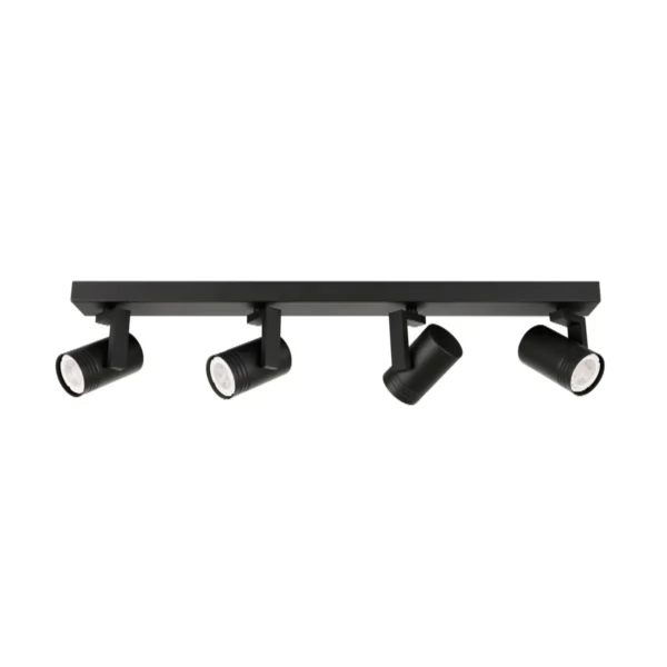 Lampa sufitowa Spiela SPL-31993-4B-BK - Italux