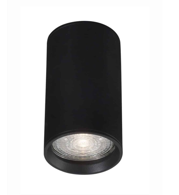 Lampa sufitowa nowoczesna CARTANAL LE61433 - Luces Exclusivas