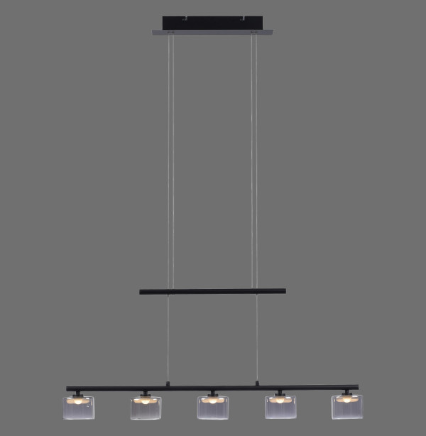 Lampa wisząca nowoczesna HYDRA 2209-18 - Paul Neuhaus