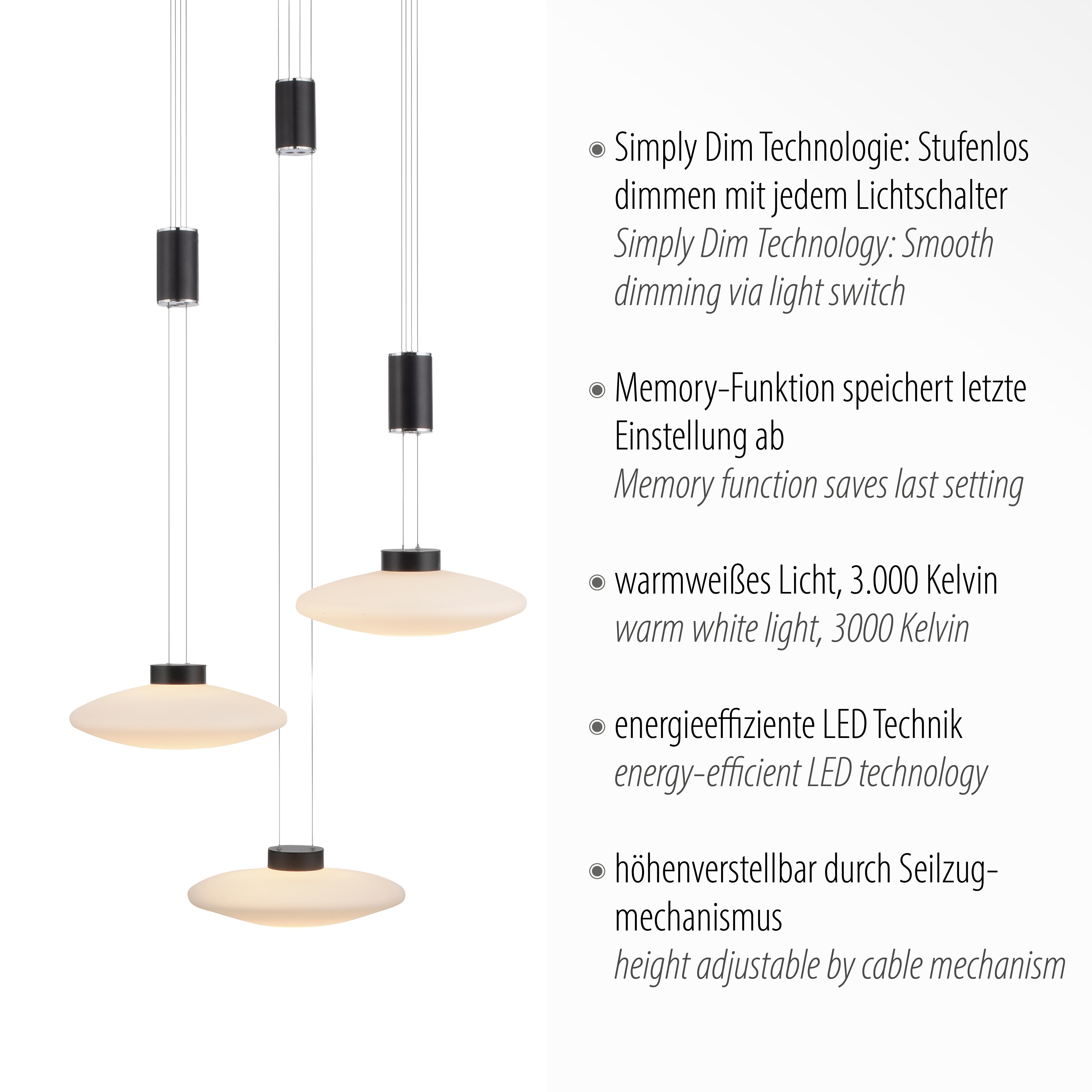 Lampa wisząca nowoczesna LAUTADA 2082-18 - Paul Neuhaus - obrazek 4