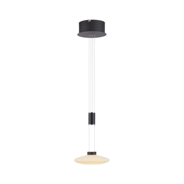 Lampa wisząca nowoczesna LAUTADA 2080-18 - Paul Neuhaus