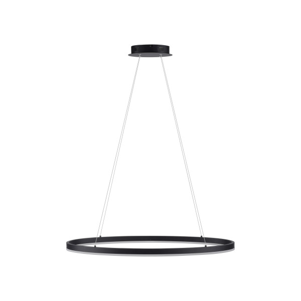 Lampa wisząca LED TITUS 2392-13 - Paul Neuhaus