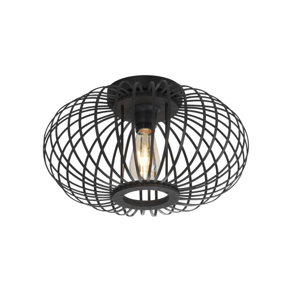Lampa sufitowa RACOON 11410-18 - Paul Neuhaus