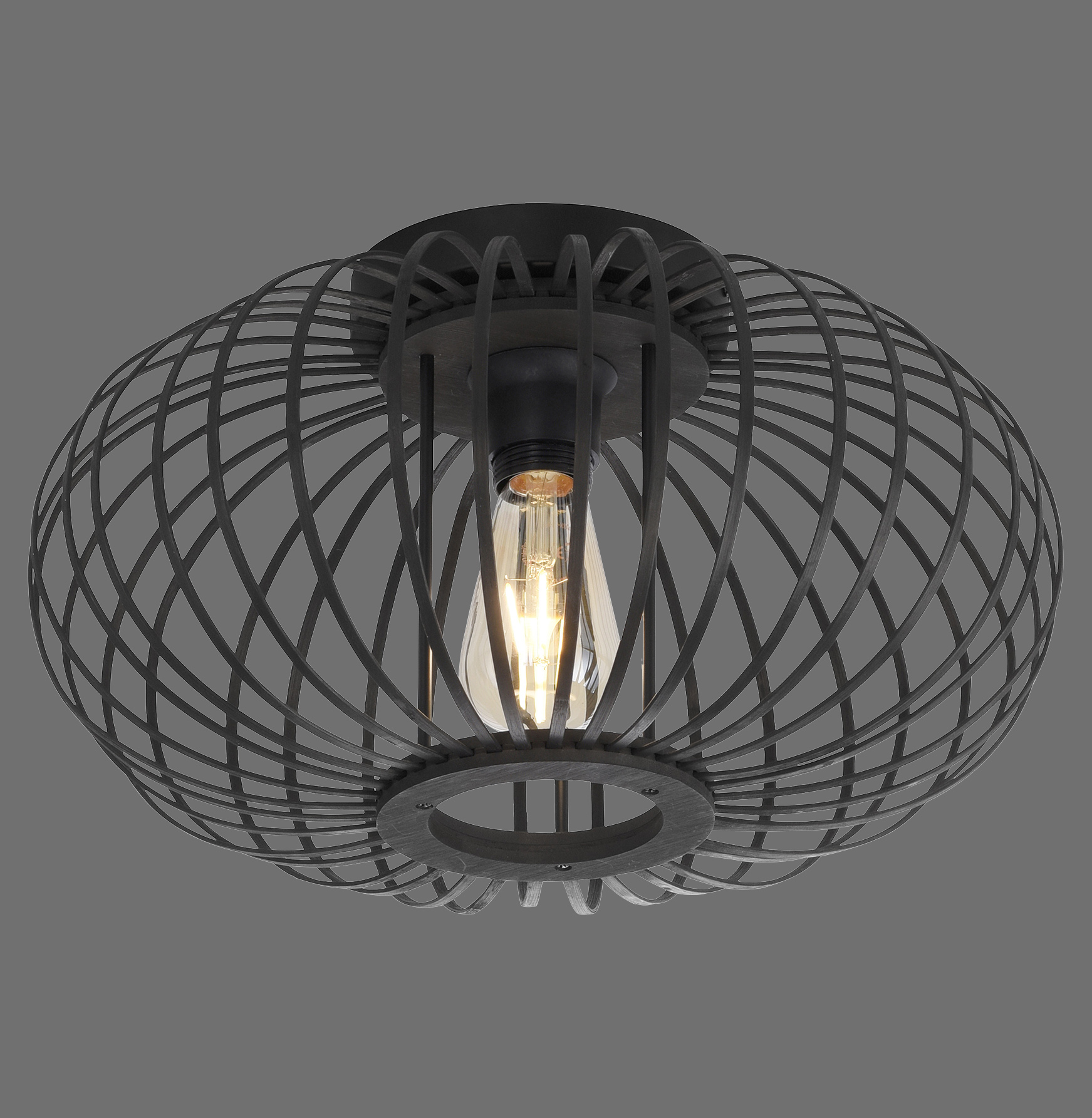 Lampa sufitowa RACOON 11410-18 - Paul Neuhaus - obrazek 2