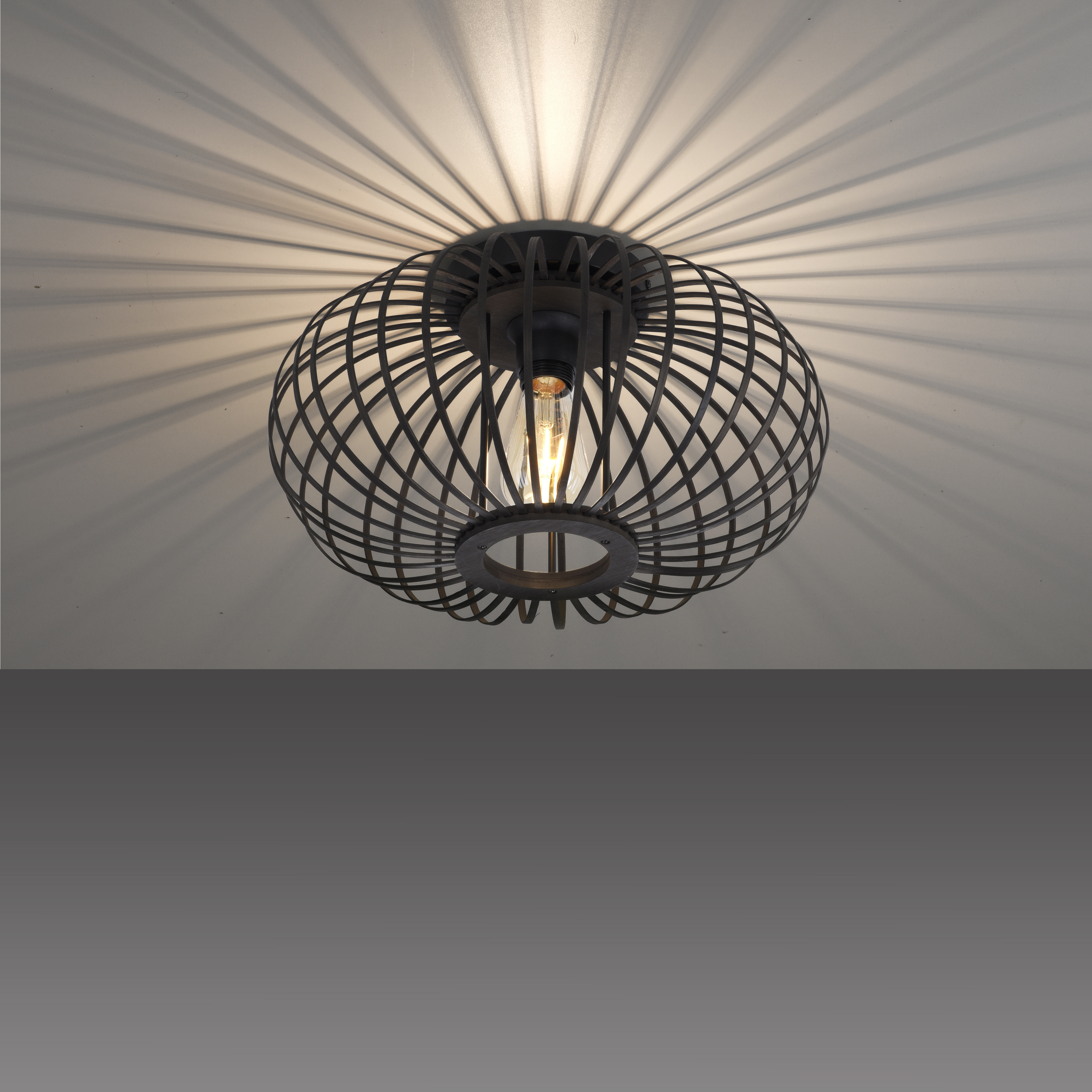 Lampa sufitowa RACOON 11410-18 - Paul Neuhaus - obrazek 6