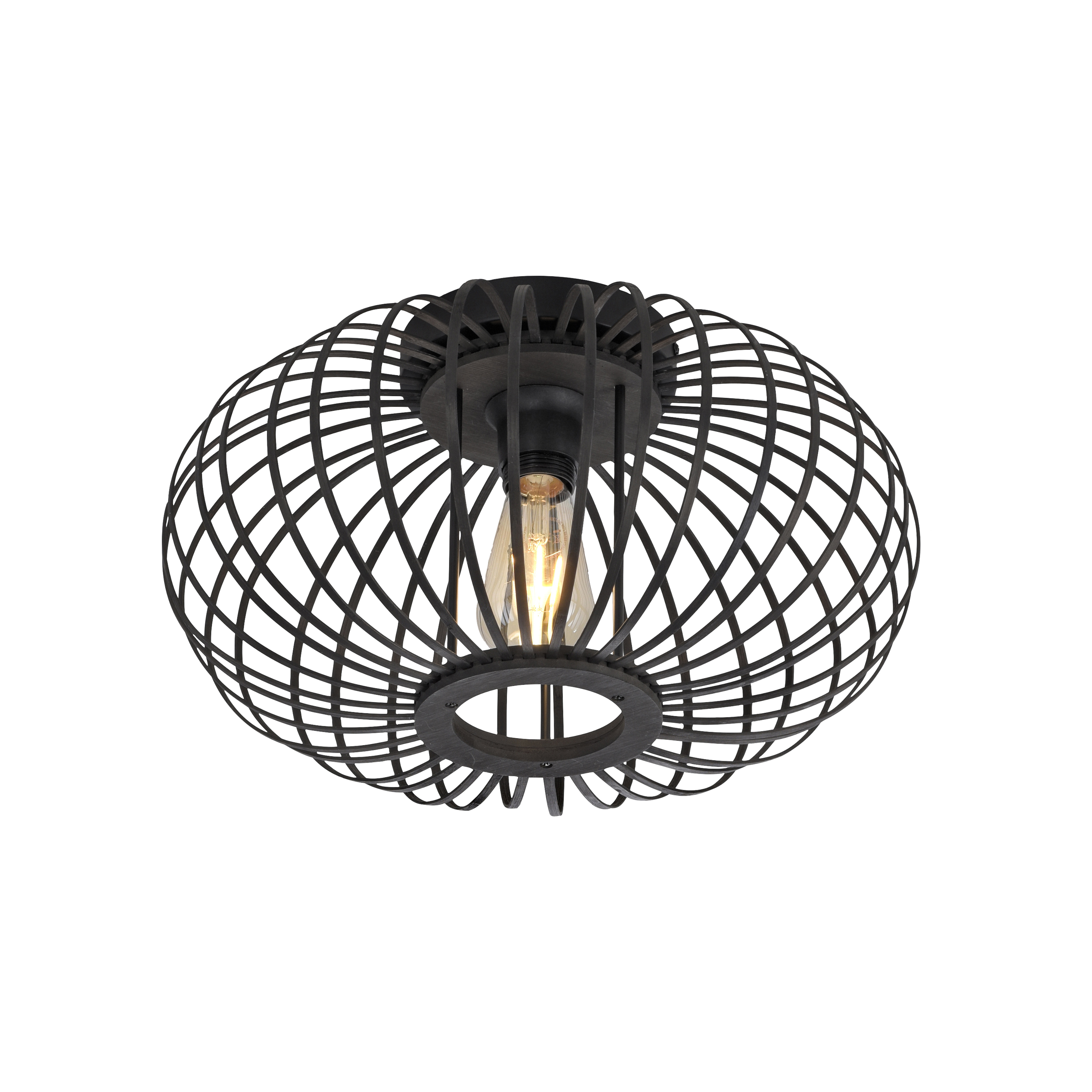 Lampa sufitowa RACOON 11410-18 - Paul Neuhaus - obrazek 8