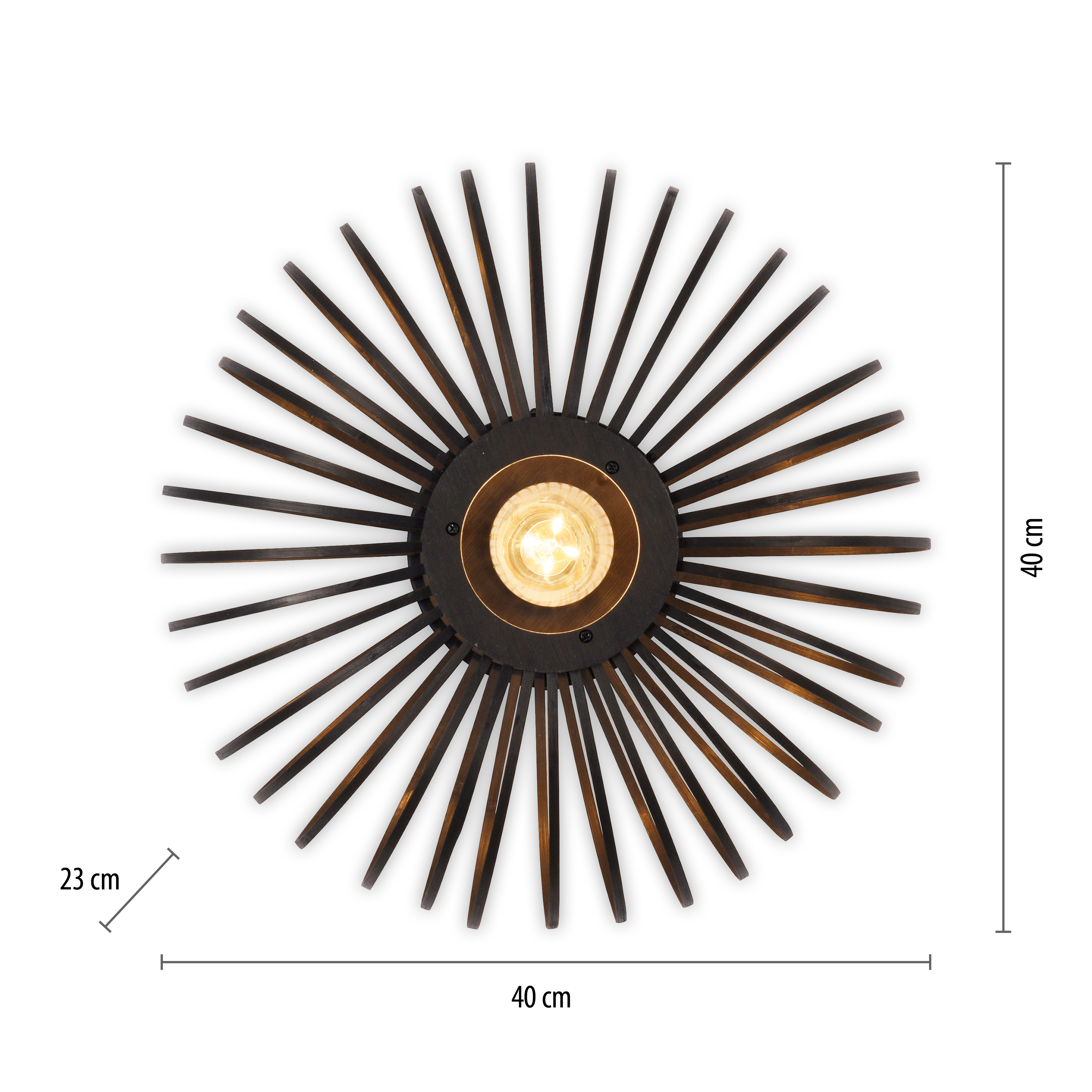 Lampa sufitowa RACOON 11410-18 - Paul Neuhaus - obrazek 9