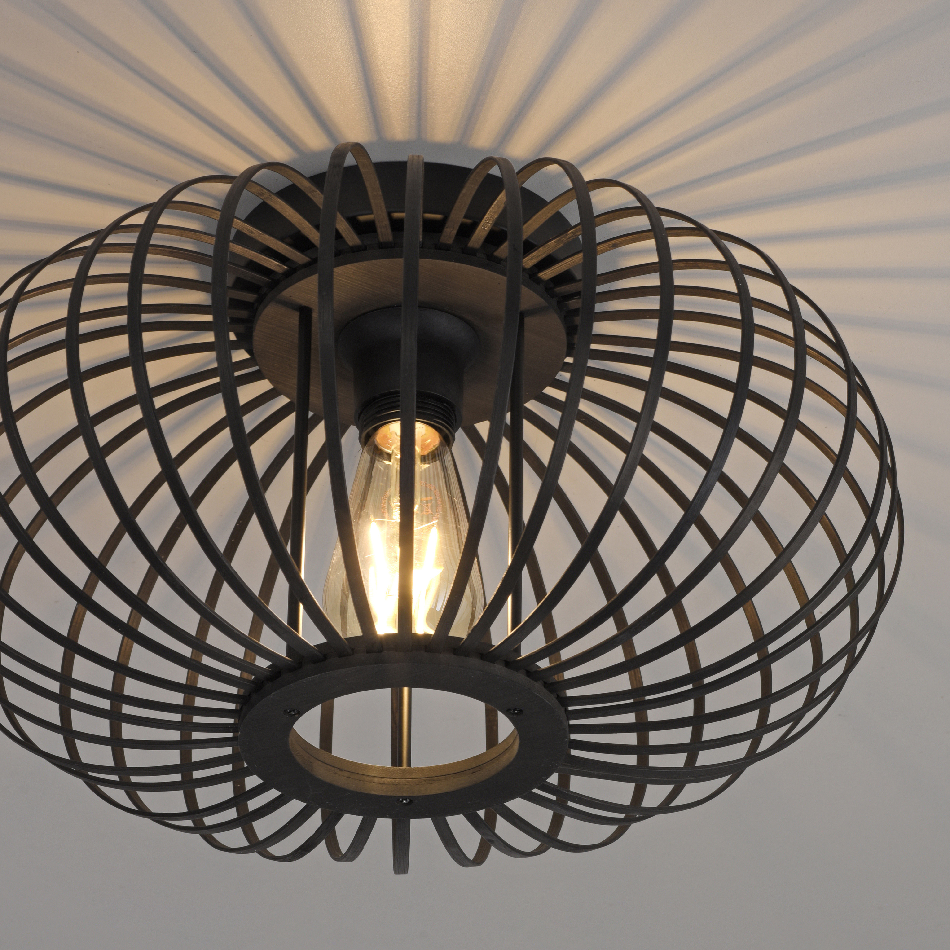 Lampa sufitowa RACOON 11410-18 - Paul Neuhaus - obrazek 10