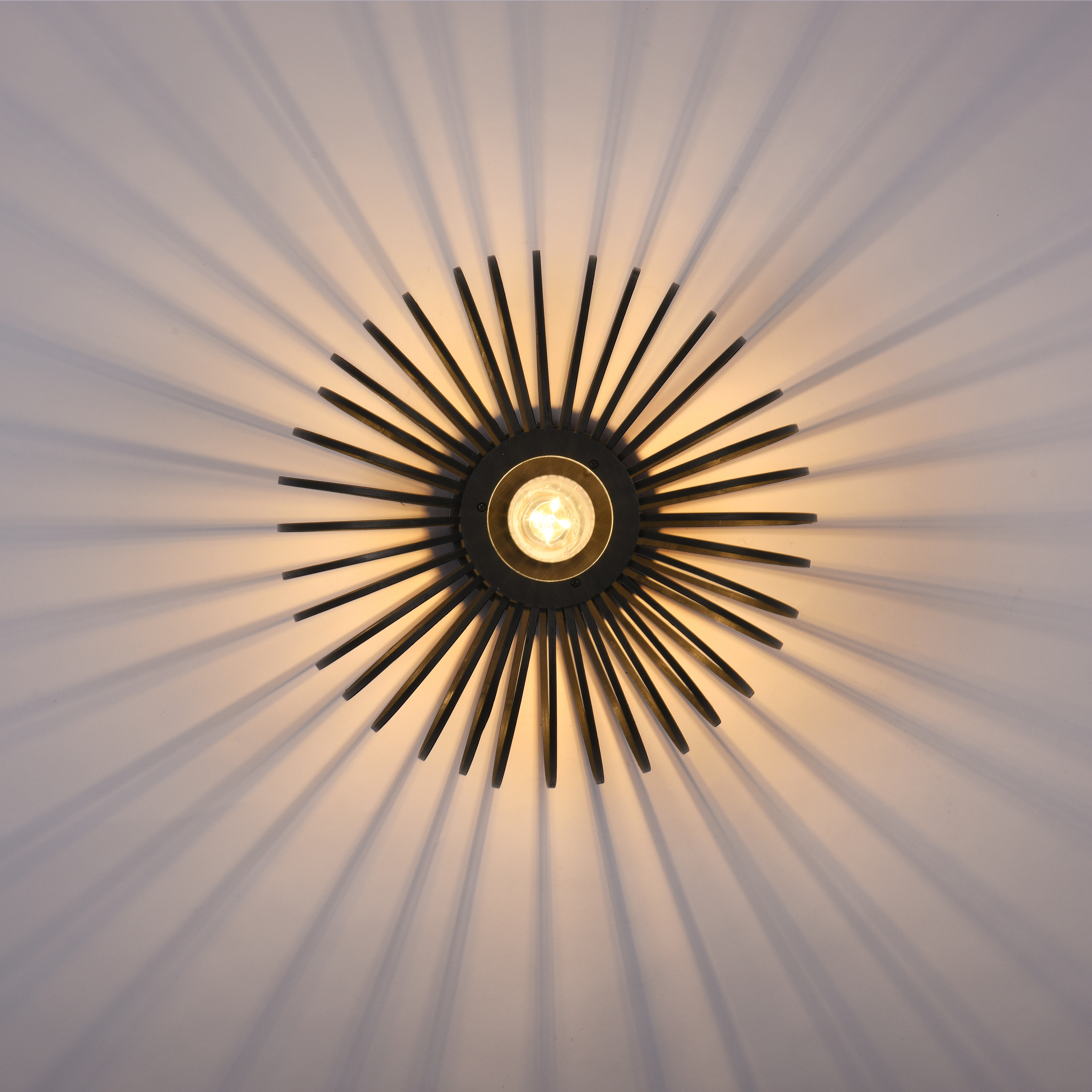Lampa sufitowa RACOON 11410-18 - Paul Neuhaus - obrazek 11