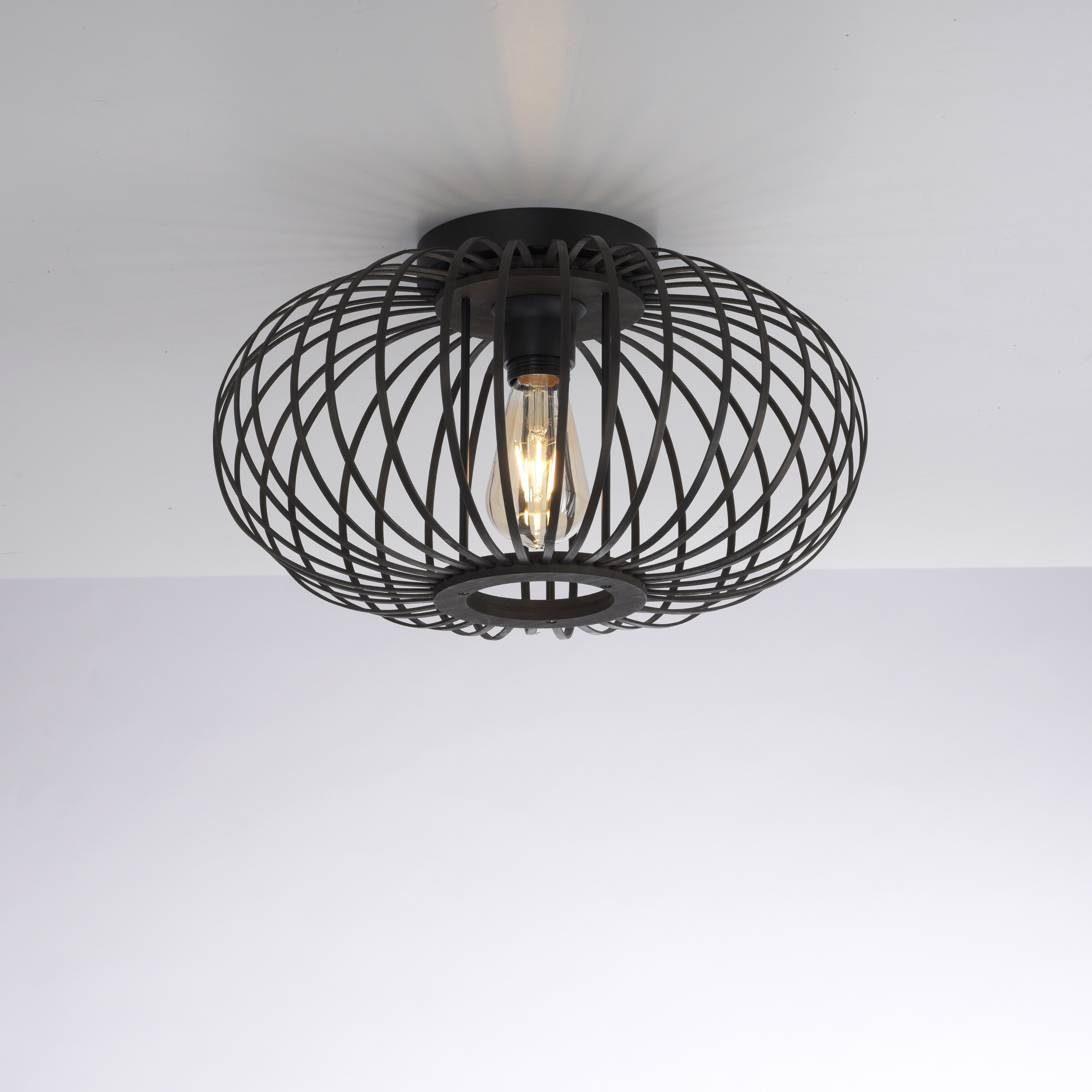 Lampa sufitowa RACOON 11410-18 - Paul Neuhaus - obrazek 12