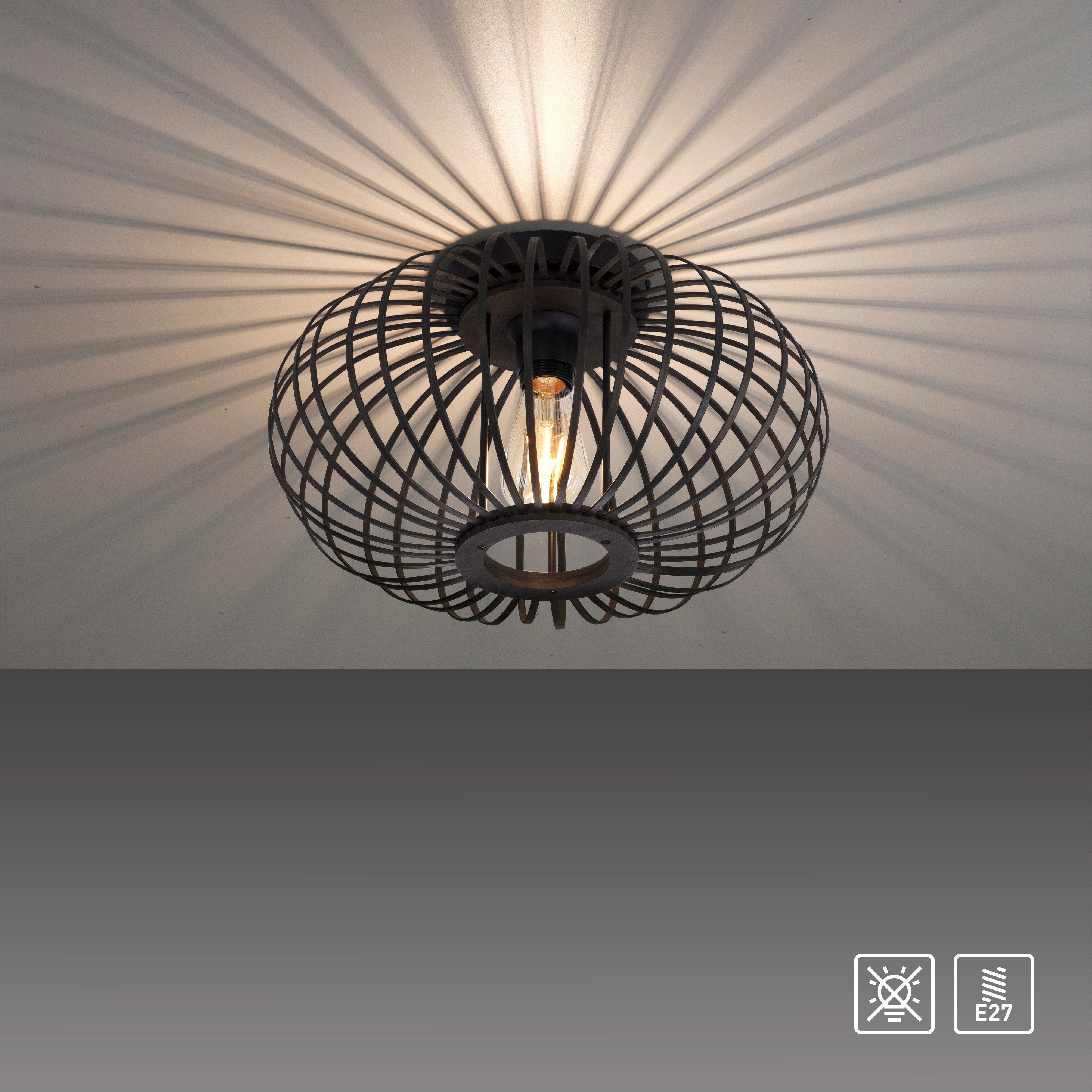 Lampa sufitowa RACOON 11410-18 - Paul Neuhaus - obrazek 13