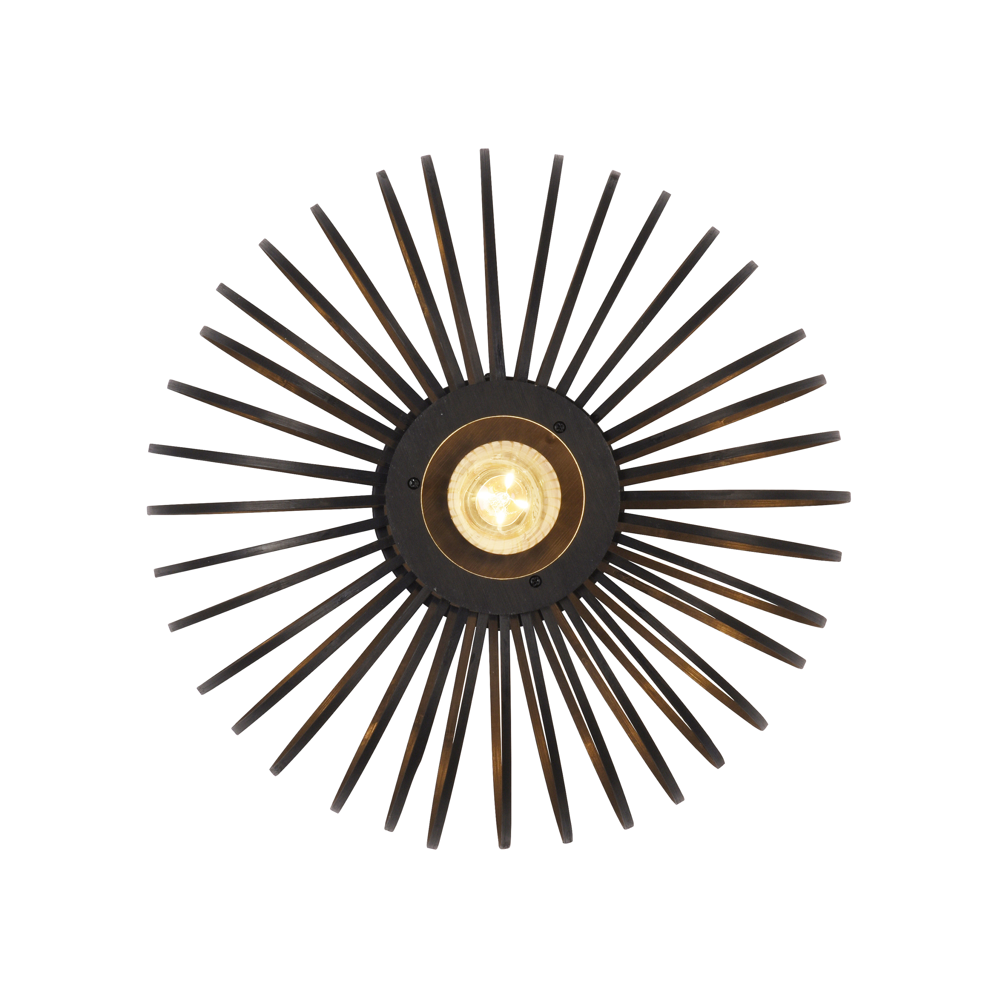 Lampa sufitowa RACOON 11410-18 - Paul Neuhaus - obrazek 15