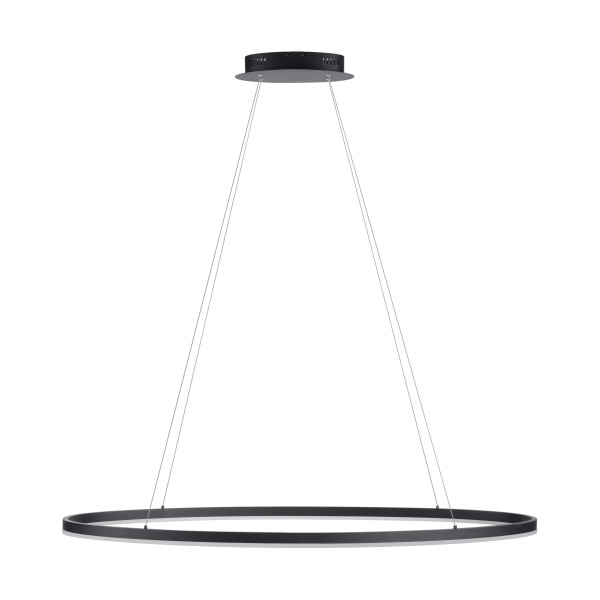 Lampa wisząca LED TITUS 2393-13 - Paul Neuhaus