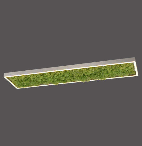 Lampa sufitowa LED GREEN KNUT 15623-66 - Paul Neuhaus