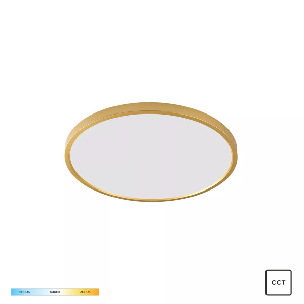 Lampa sufitowa CAMI WM-BP1108-S-G - Zuma Line